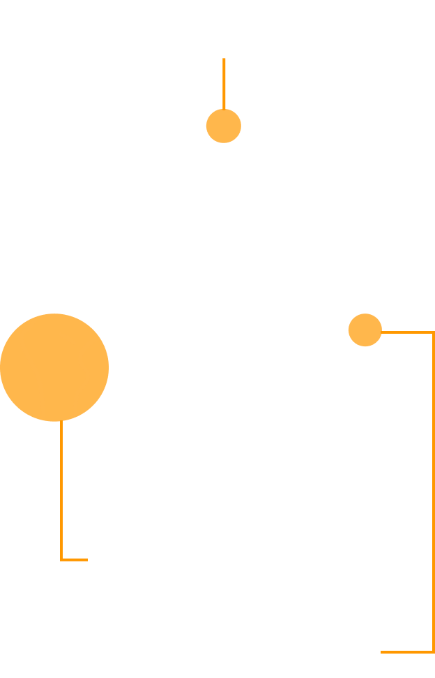 Cadera completa BMD +5.8% | Columna lumbar BMD +12.7% | Cuello femoral BMD +5.2%